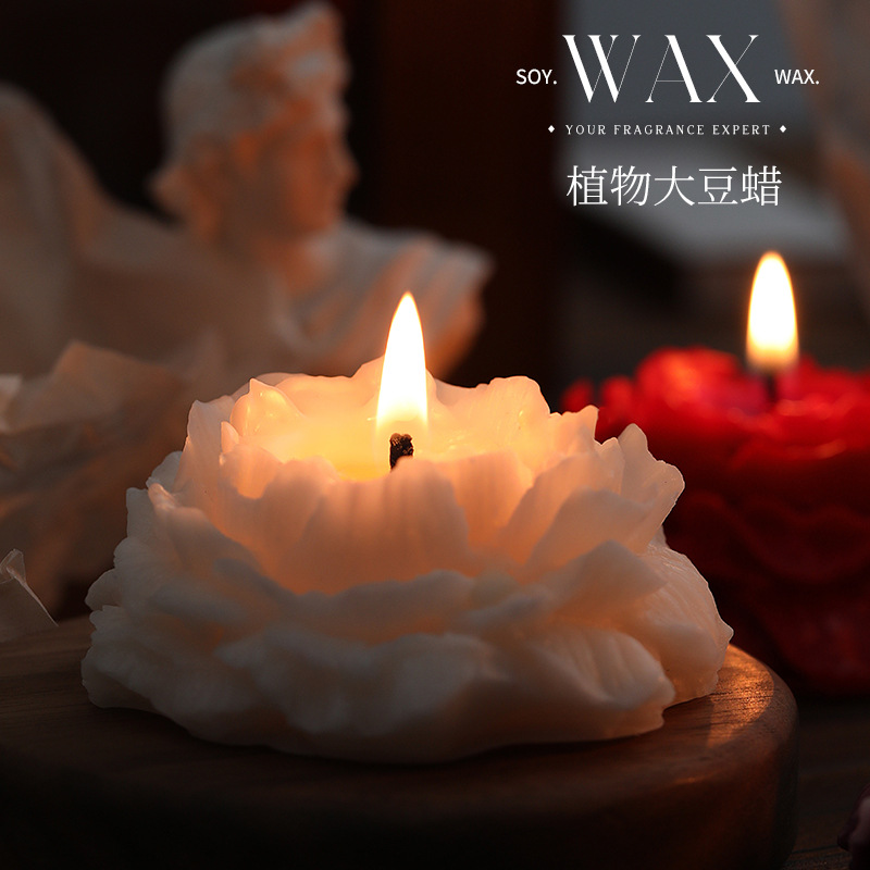 Camellia scented candles simpl - đánh giá và giá Soy Wax