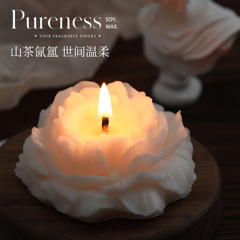 Camellia scented candles simpl - đánh giá và giá Soy Wax