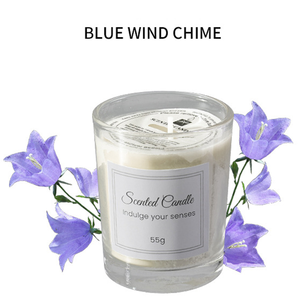 1pcs Premium Aromatherapy Cand - đánh giá và giá Soy Wax
